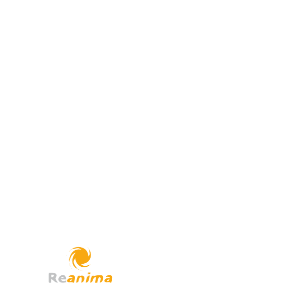 Reanima Asistencia Informatica Logo