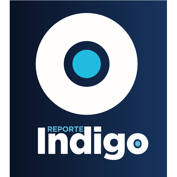REPORTE INDIGO Logo