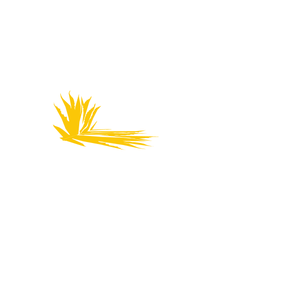 Rincones de mi Tierra Logo ,Logo , icon , SVG Rincones de mi Tierra Logo