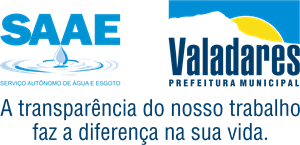 SAAE Logo