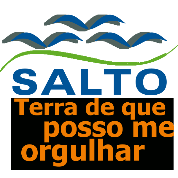 Salto Logo ,Logo , icon , SVG Salto Logo