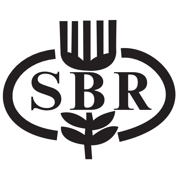 SBR Bank Logo