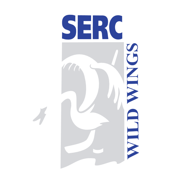 Schwenninger Wild Wings Logo ,Logo , icon , SVG Schwenninger Wild Wings Logo