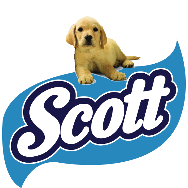 Scott OMR Logo