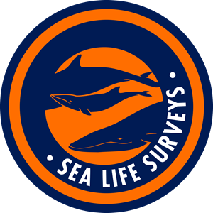 SEA LIFE SURVEYS Logo ,Logo , icon , SVG SEA LIFE SURVEYS Logo