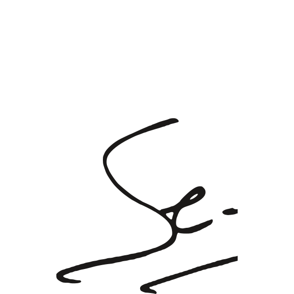 Sebastien Loeb Logo