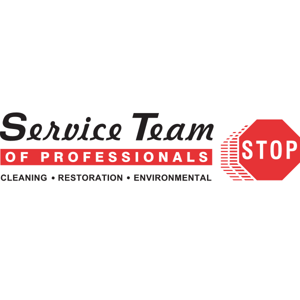 Service Team of Professionals Logo