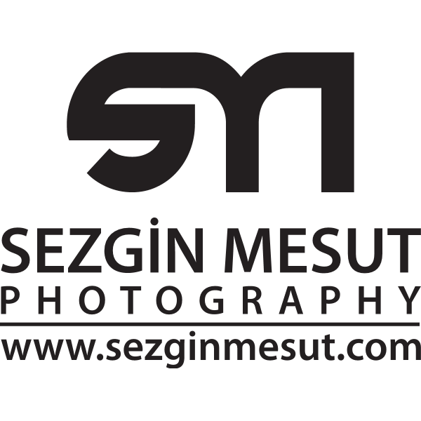Sezgin Mesut Logo