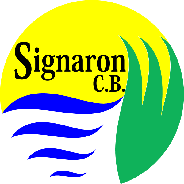 Signaron Logo