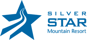 Silver Star Logo ,Logo , icon , SVG Silver Star Logo