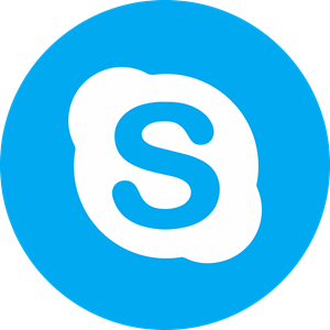 Skype Icon Logo