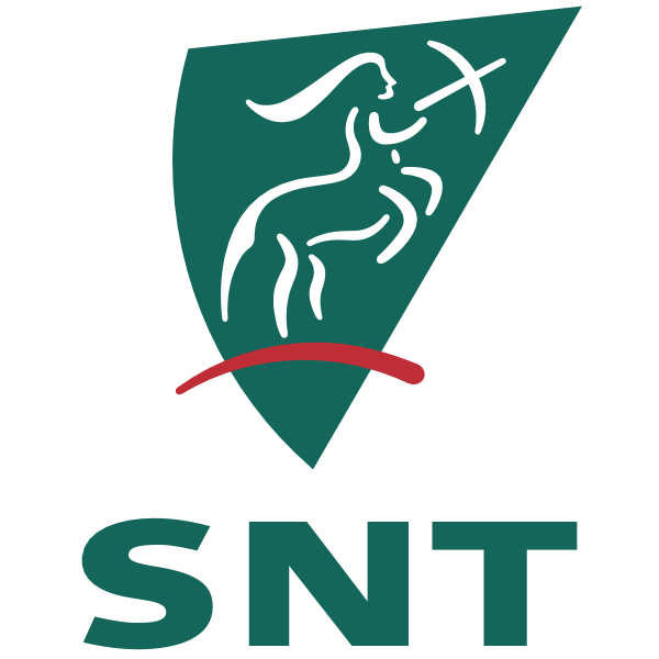 SNT Parody Logo