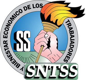 sntss imss Logo ,Logo , icon , SVG sntss imss Logo