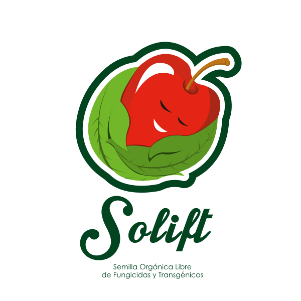 Solift Logo ,Logo , icon , SVG Solift Logo