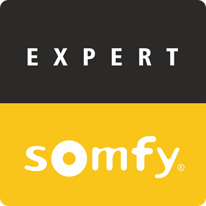 somfy expert Logo ,Logo , icon , SVG somfy expert Logo