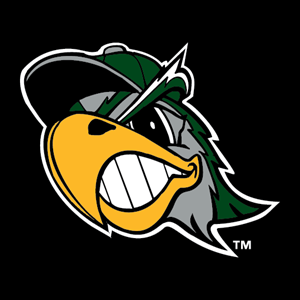 South Bend Silver Hawks Logo