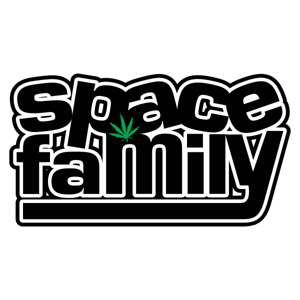 Space Family Logotype Logo ,Logo , icon , SVG Space Family Logotype Logo
