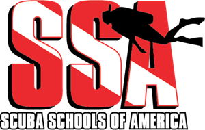 SSA Logo ,Logo , icon , SVG SSA Logo