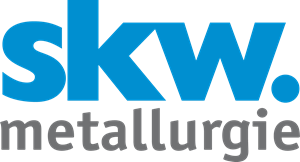 Stickstoffwerke Stahl Metallurgie Holding SKW Logo ,Logo , icon , SVG Stickstoffwerke Stahl Metallurgie Holding SKW Logo
