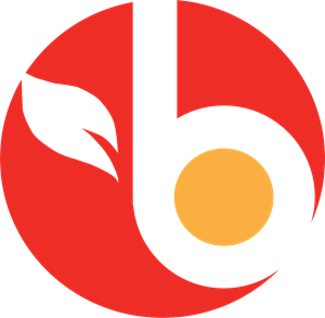 Super Mercado Bravo Logo