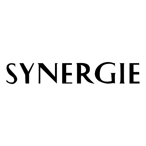 synergie-2