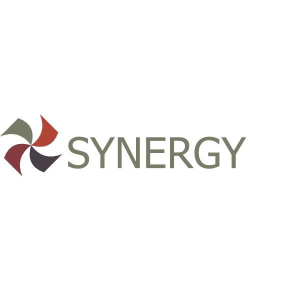 Synergy Financial Group Logo ,Logo , icon , SVG Synergy Financial Group Logo