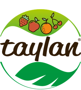 Taylan Logo ,Logo , icon , SVG Taylan Logo
