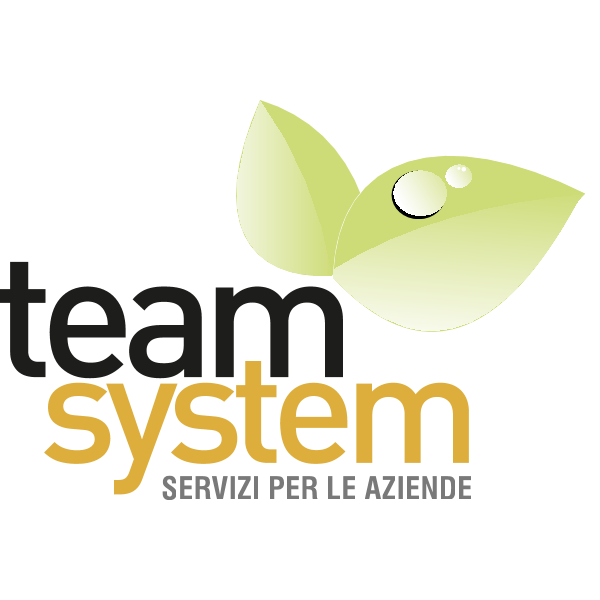 Team System servizi per le imprese Logo ,Logo , icon , SVG Team System servizi per le imprese Logo