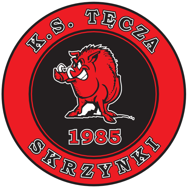 Tecza Skrzynki Logo