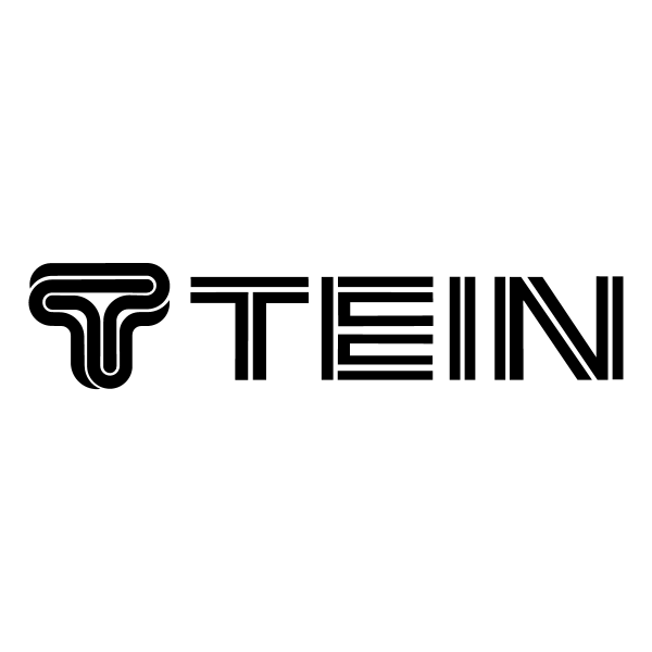 TEIN ,Logo , icon , SVG TEIN