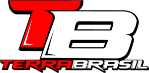 Terra Brasil Logo ,Logo , icon , SVG Terra Brasil Logo