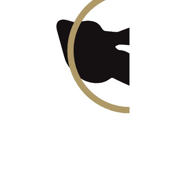TeT Produtos Ópticos Logo