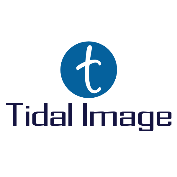 Tidal Image Logo