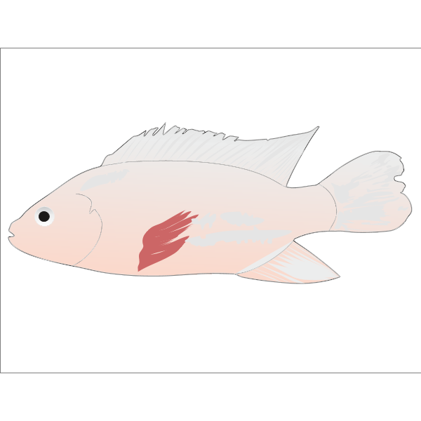 tilapia fish Logo