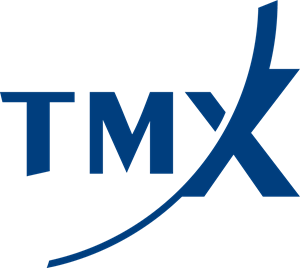 TMX Group Logo