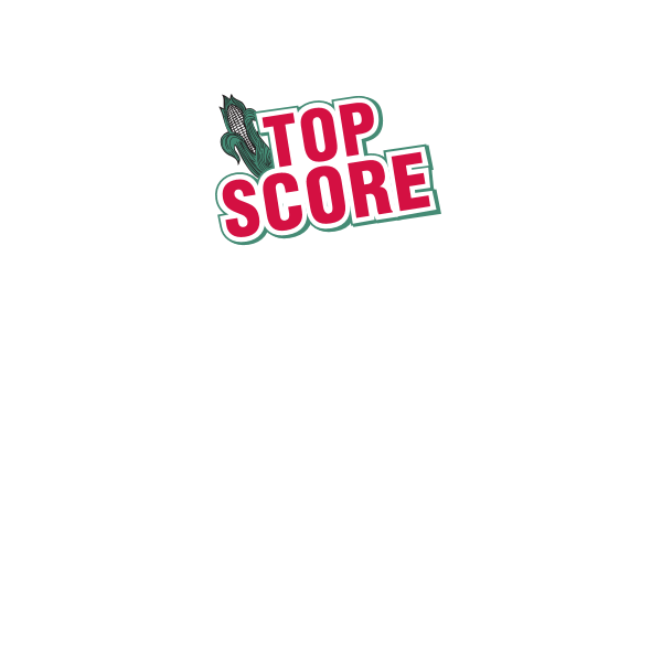 Top Score Logo