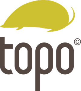 Topo Your. Com. Studio Logo