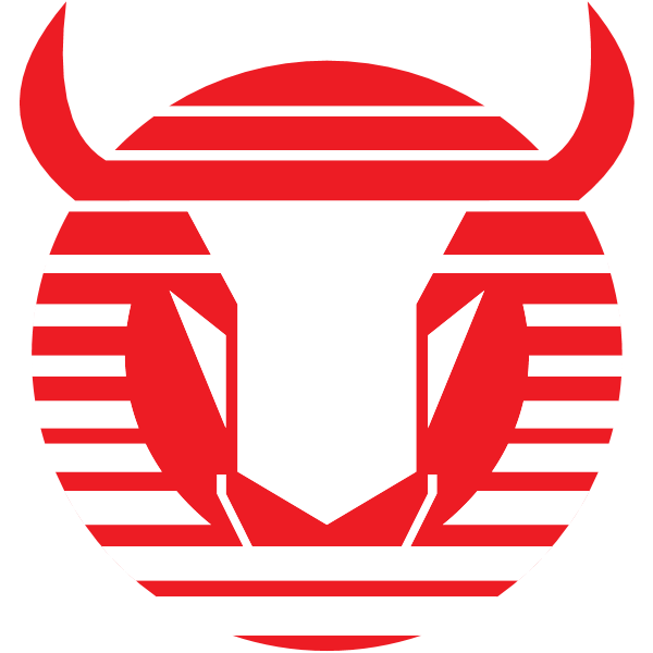Toros Neza Logo
