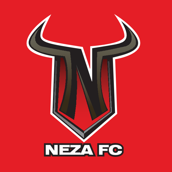 Toroz Neza FC Logo