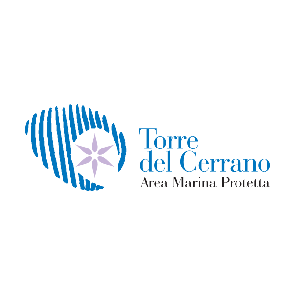 Torre del Cerrano Logo ,Logo , icon , SVG Torre del Cerrano Logo