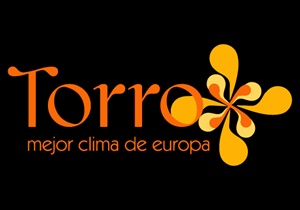 Torrox Logo ,Logo , icon , SVG Torrox Logo