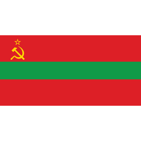 TRANSINITRIA FLAG Logo