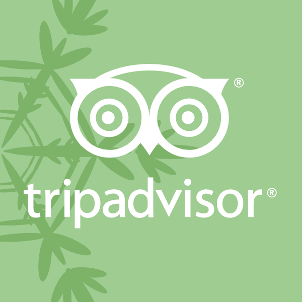 Tripadvisor ,Logo , icon , SVG Tripadvisor