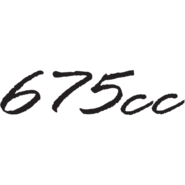 Triumph 675 cc Logo