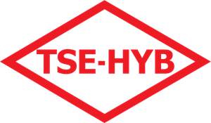 TSE-HYB Türk Standartları Enstitüsü Hizmet Yeterl Logo ,Logo , icon , SVG TSE-HYB Türk Standartları Enstitüsü Hizmet Yeterl Logo