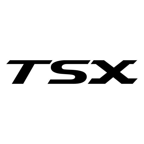 TSX