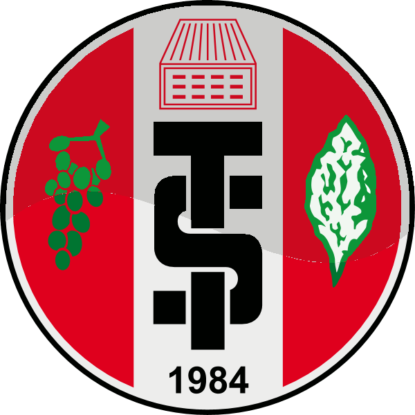 Turgutluspor K Logo