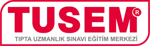 TUSEM Logo