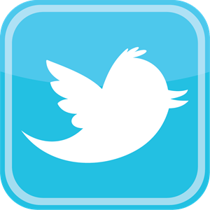 Twitter bird icon Logo