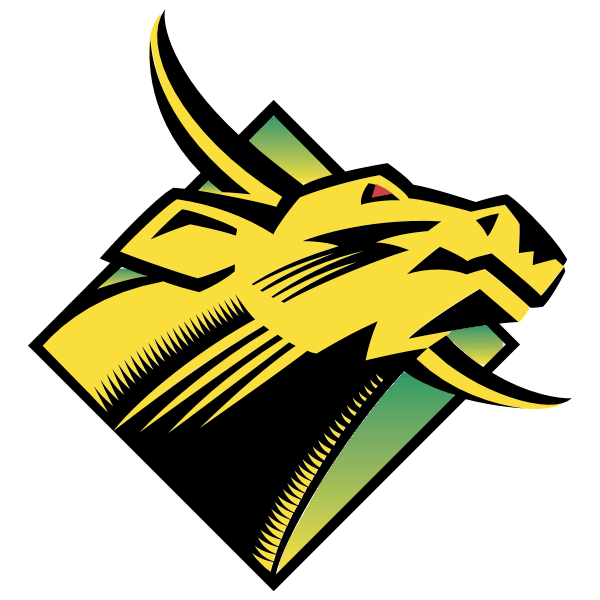 USF Bulls